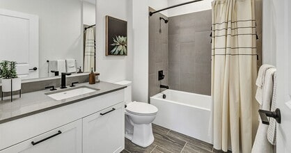 Interior Photo - Olive & Wooster