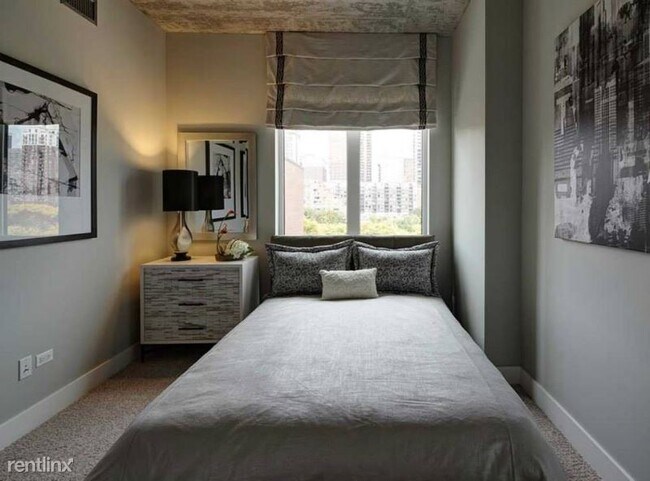 Foto del edificio - Studio, 1 bath Apartment - 650 S Clark St