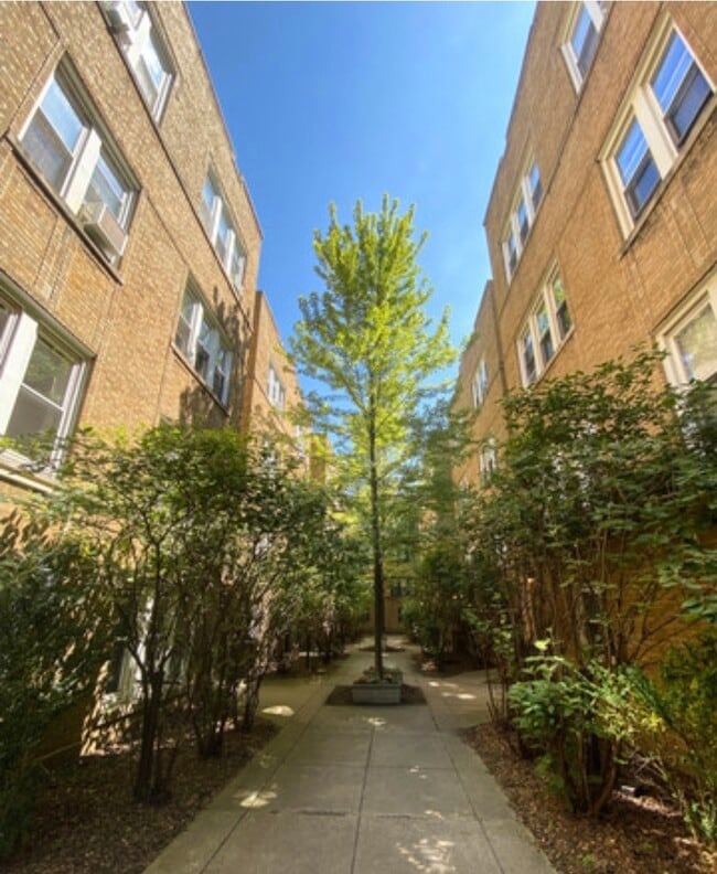 Building Photo - 679 W Wrightwood Ave