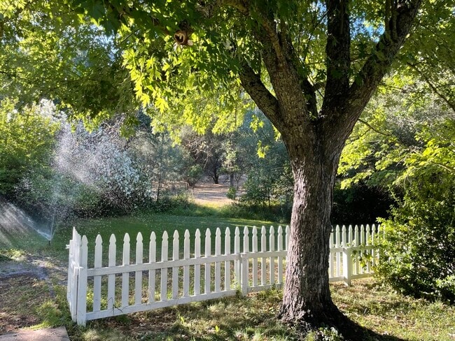 Beautiful view of nature and wildlife from yard. - 6605 Shady Lake Ln