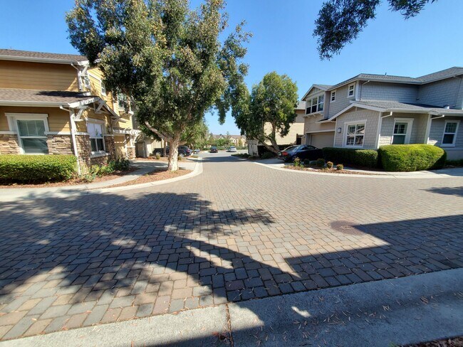 Building Photo - 28 Bonsai Ct