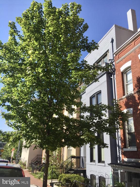 Foto del edificio - 2298 Champlain St NW