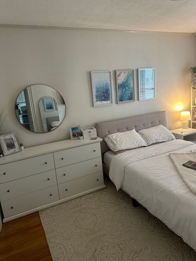 Foto del edificio - Bright 2 Bed in South Boston • Pets OK • Available 9/1/2026