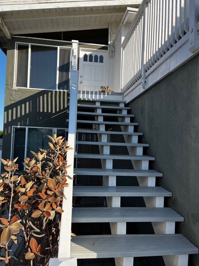 Front entry - 154 San Fernando Ave