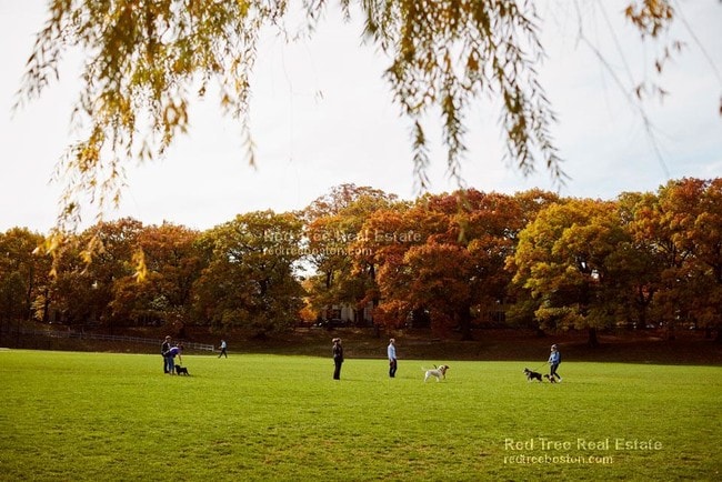 Photo - 312 Tappan St Apartment