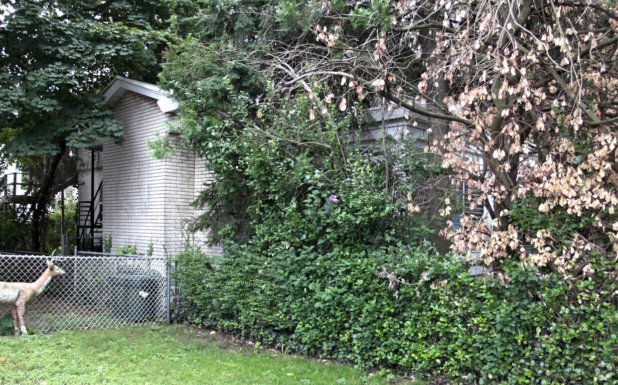 Foto del edificio - 40 Wolff Ave