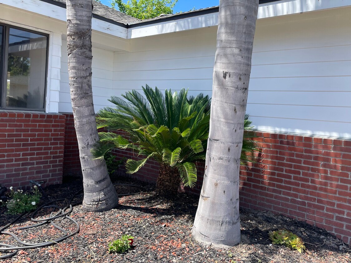 Foto del edificio - 1500 Van Dorsten Ave