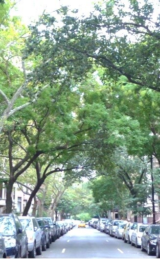 West 69th Street - 41 W 69th St