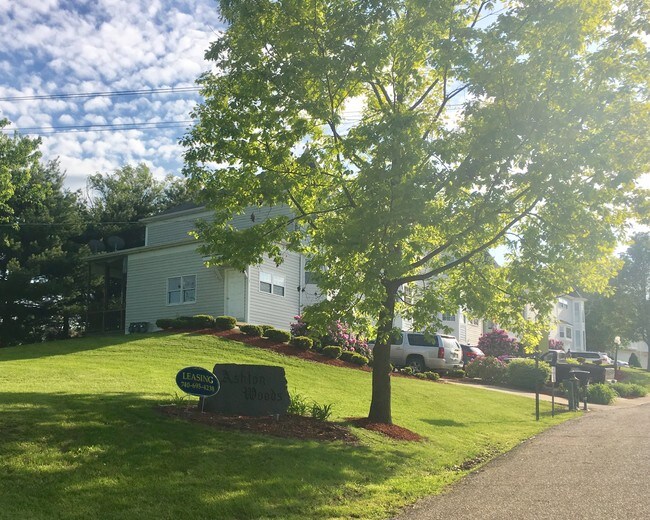 50565 Cindy Dr, Saint Clairsville, OH 43950 Townhouse for Rent in