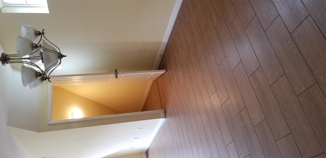 Building Photo - 3150 Riachuelo Ln