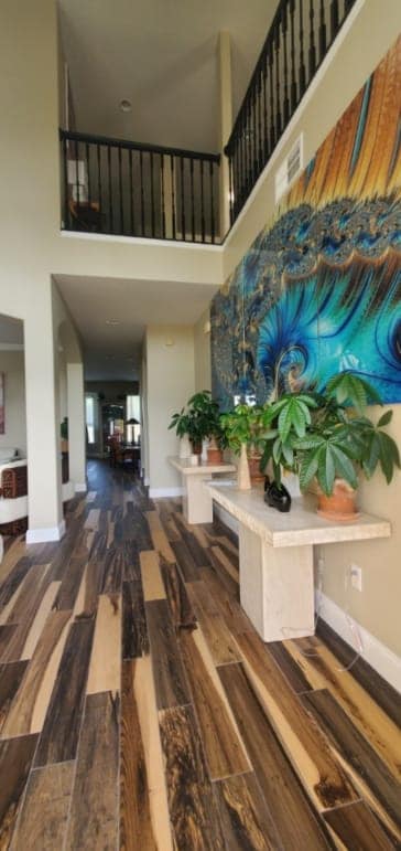 Foto del edificio - 325 Wentworth Ave