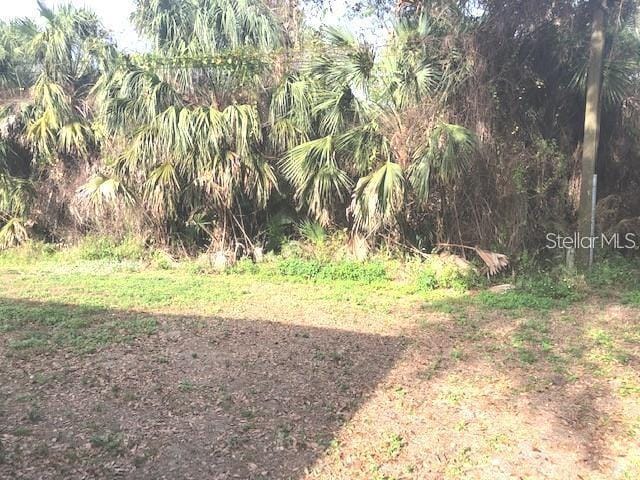 Foto del edificio - 232 Bamboo Dr