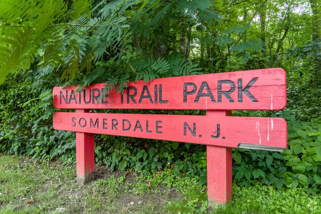 Nature Trail Park is a pleasant trail that loops through the tall trees of Somerdale, NJ.