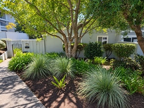 Building Photo - 1562 Dolphin Dr