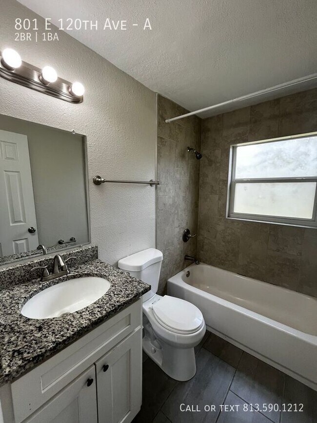 Building Photo - Cozy Tampa Apartment