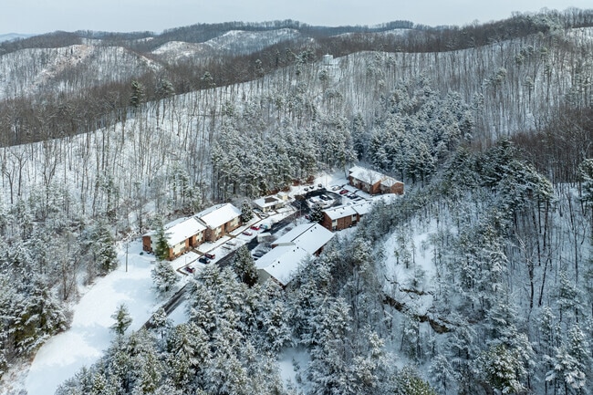 Aerial Photo - Pine Ridge Apartments