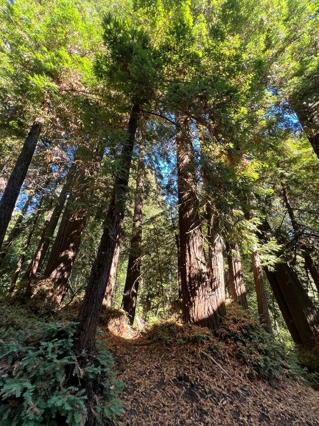 Beautiful 3 bedroom 3 bath Home in Scotts House Rental in Scotts