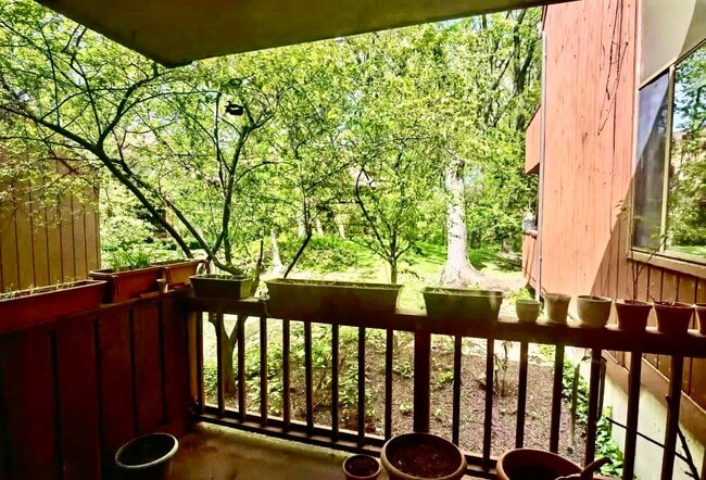 Building Photo - 475 Teal Plaza