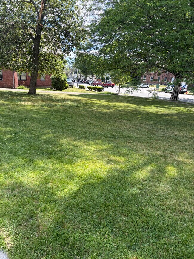 Building Photo - 98 Mount Auburn St