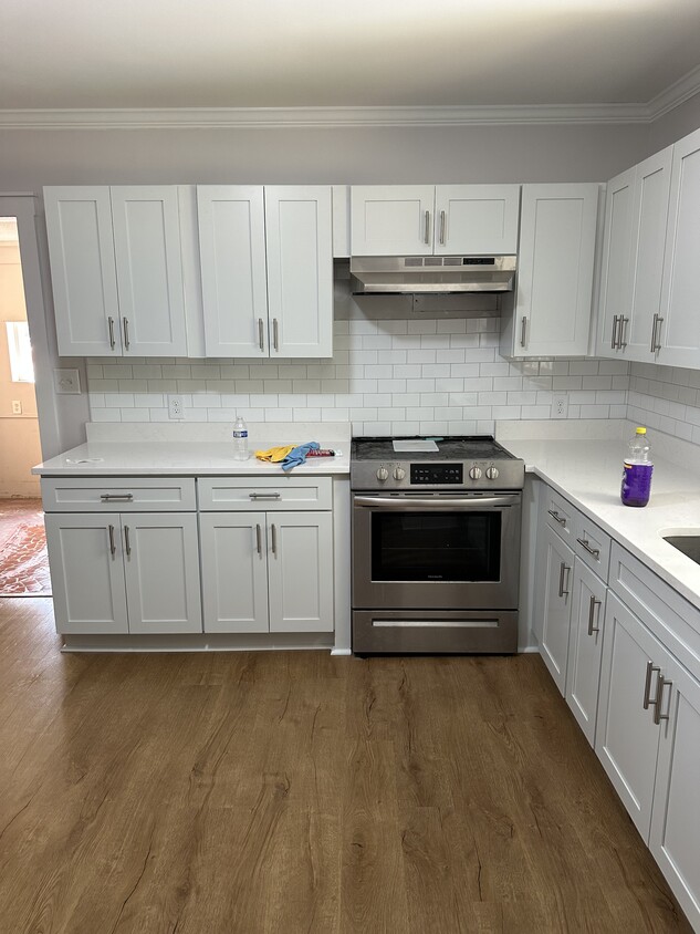Newly renovated Kitchen - 1915 Birchcrest Dr