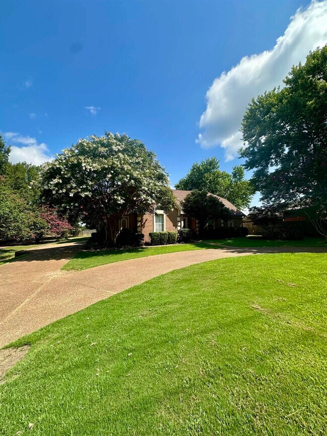 Building Photo - 814 Byhalia Rd