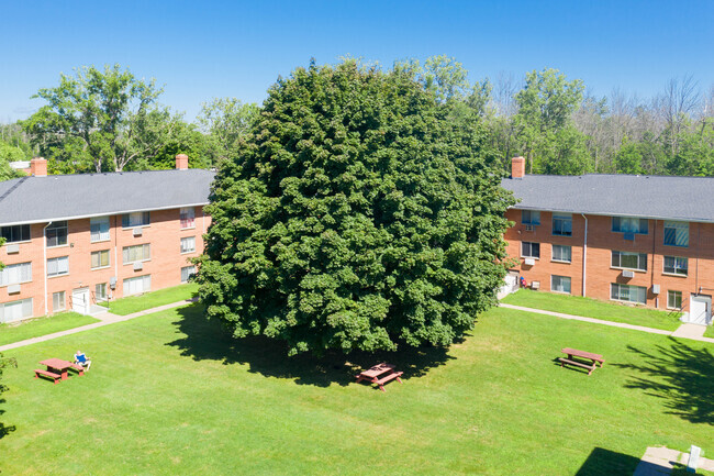 Building Photo - Webster Park Apartments