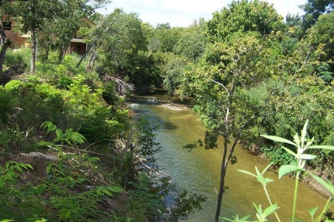 Building Photo - 1 bedroom in Austin TX 78665