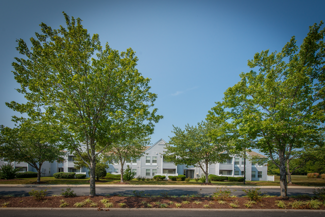 Building Photo - New Forest Apartments