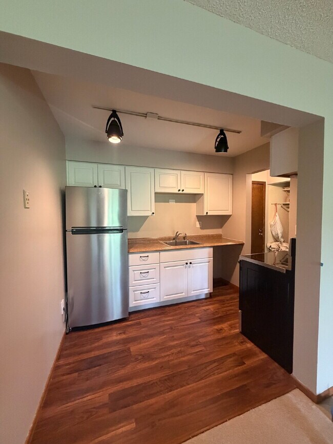 Foto del edificio - Beautiful 1-bed, 1-bath condo in St. Anthony