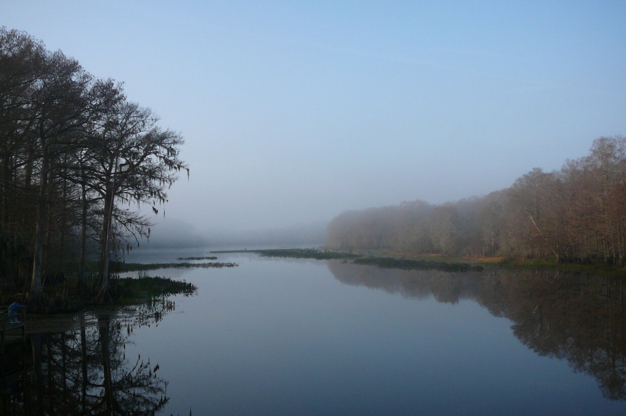 8271 W C 48, Bushnell, FL 33513 Apartments in Bushnell, FL