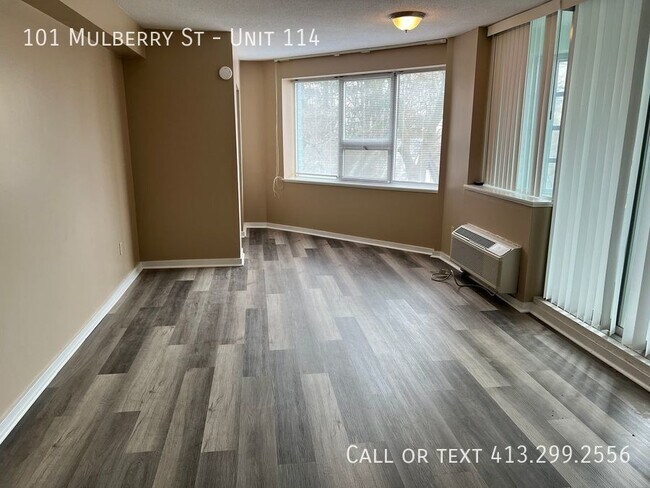Foto del edificio - Updated Two Bedroom Condo On Springfield's...
