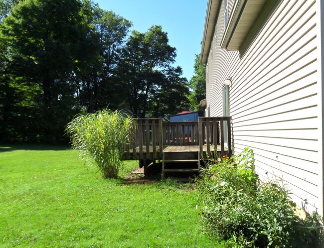 nice back yard - 302 N Ireland Blvd