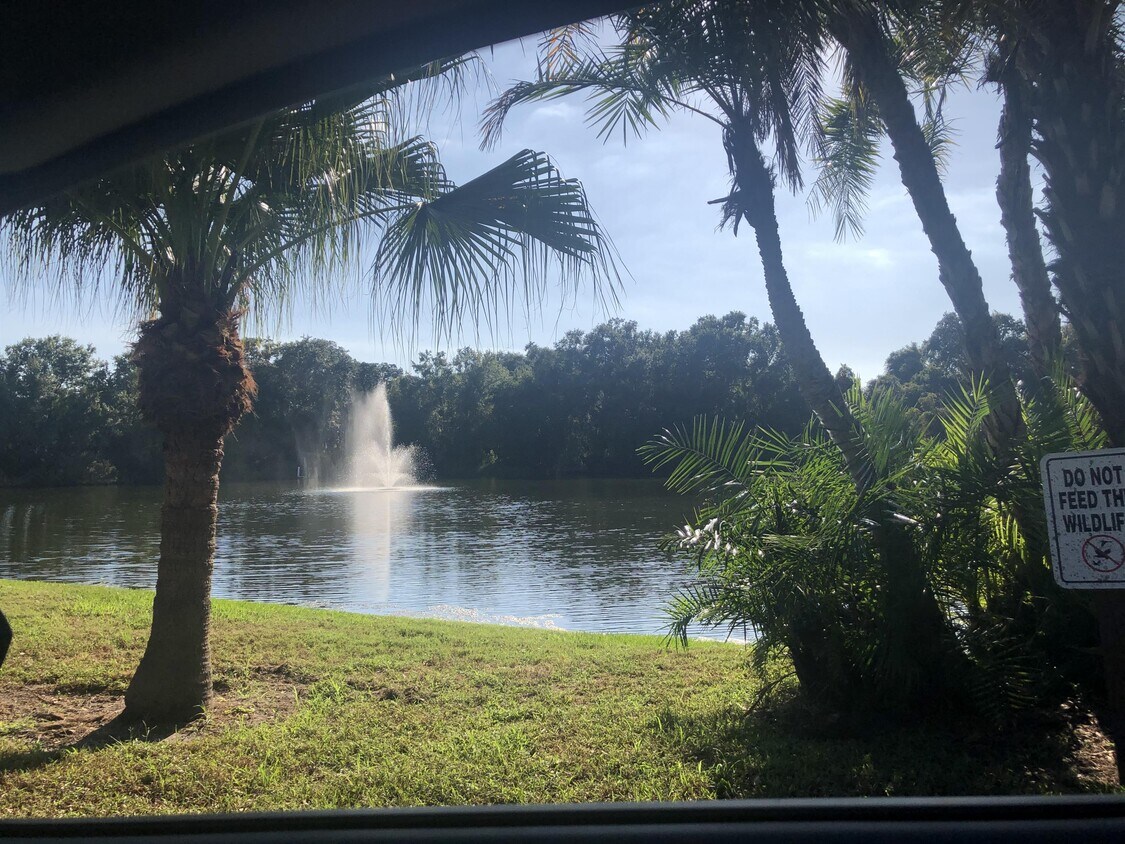 Photo - 2721 5th Ct (Palm Harbor, FL)