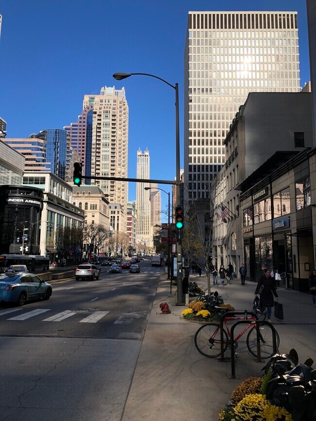 Foto del edificio - 535 N Michigan Ave