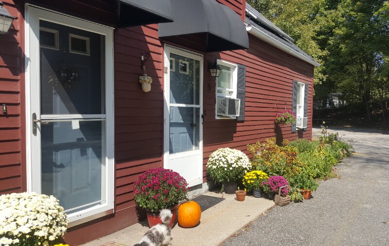 3 Cook St Unit Furn, Douglas, MA 01516 Room for Rent in Douglas, MA