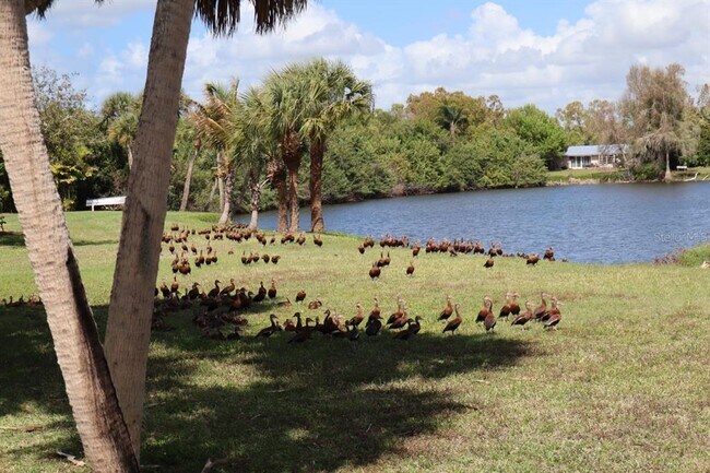 Foto del edificio - 880 Van Gogh Rd