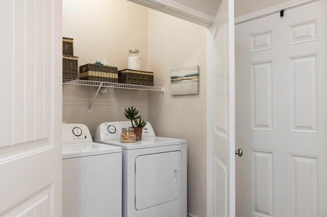 Enjoy the Convenience of an In-Home Laundry Room at Seaglass Apartments - Modern Corpus Christi Living - Seaglass Apartments & Townhomes