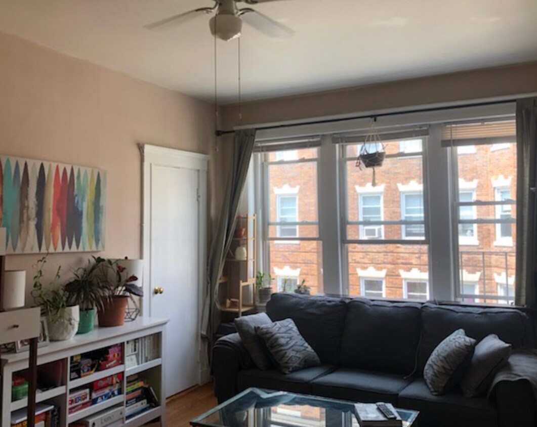 Primary Photo - 229 Kelton St