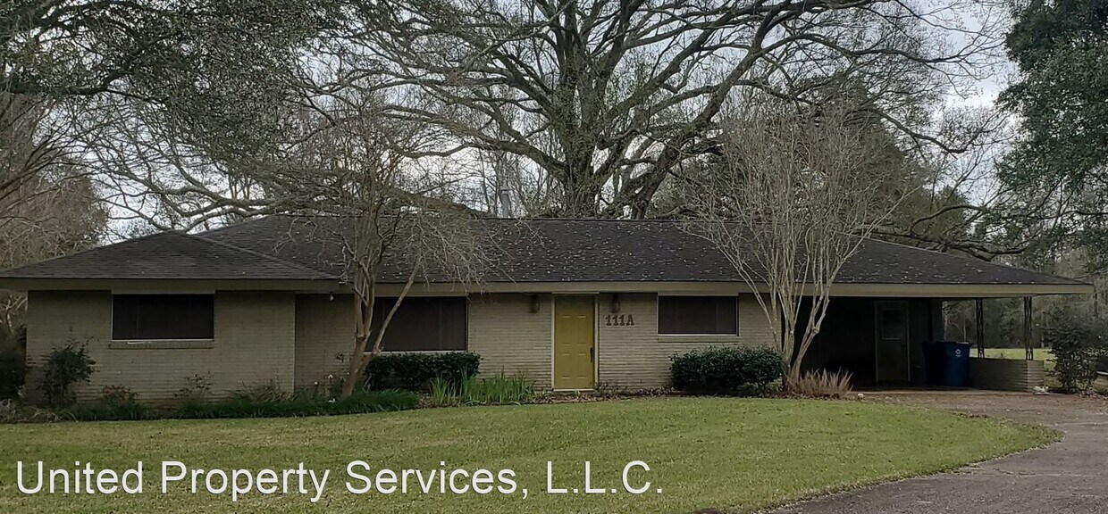 Primary Photo - 2 br, 2 bath House - 111-A Westbend Ridge