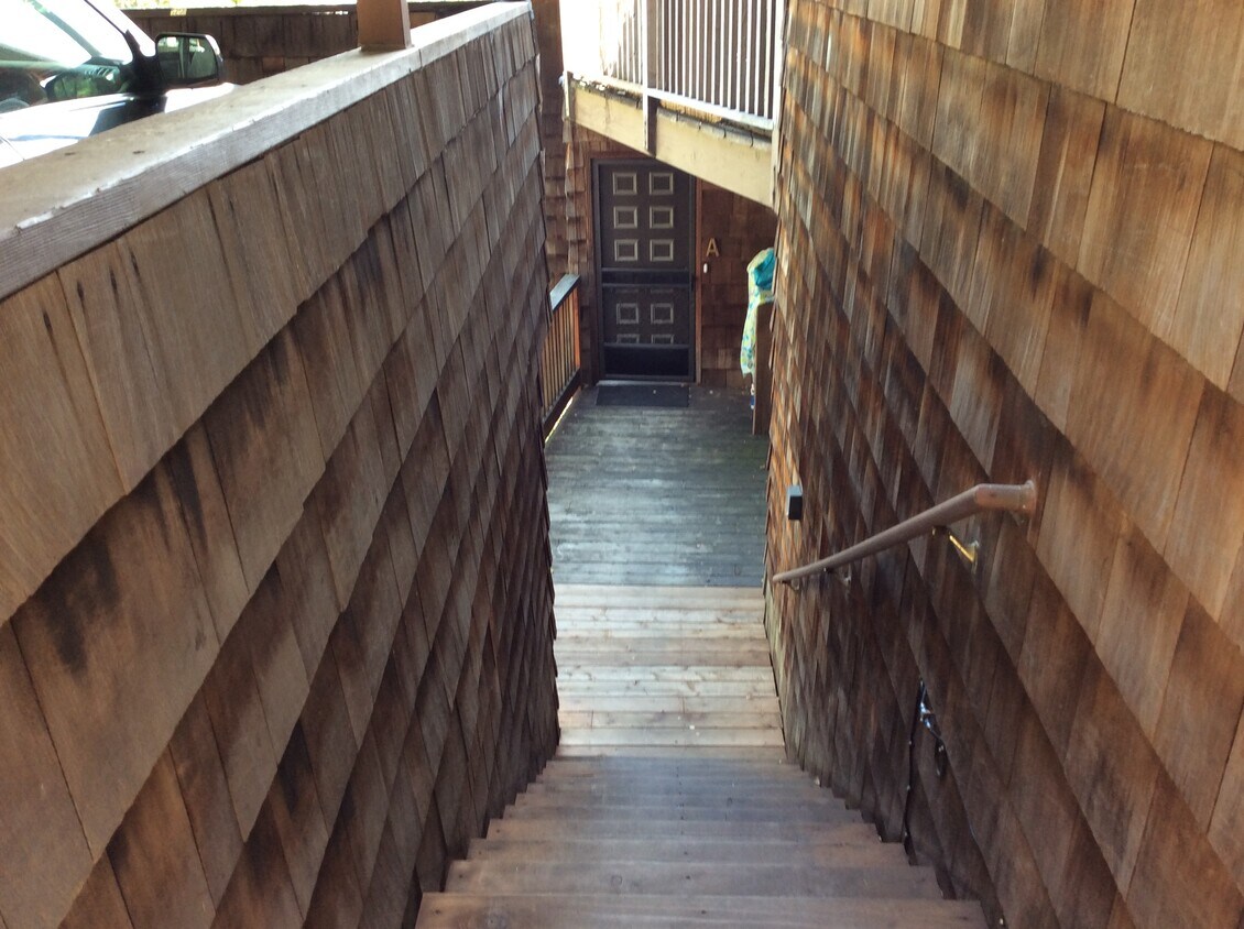 525 Jackson St, Albany, CA 94706 - Townhome Rentals in Albany CA |  Apartments.com