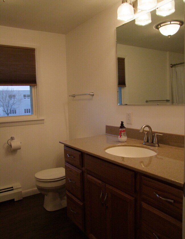 bathroom - 407 N Morgan St