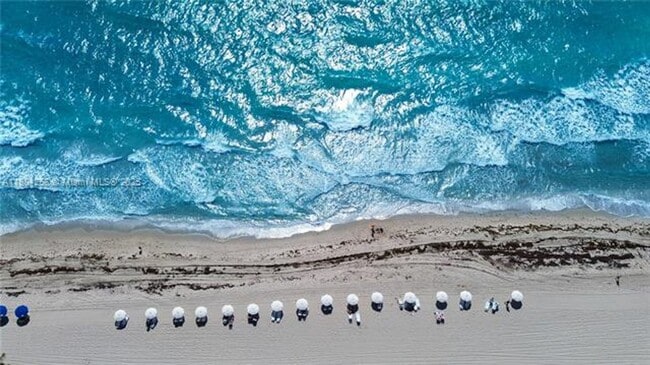 Photo - 2080 S Ocean Dr Apartment