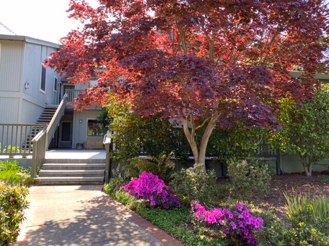 Lovely landscapes - 1160 Pine St