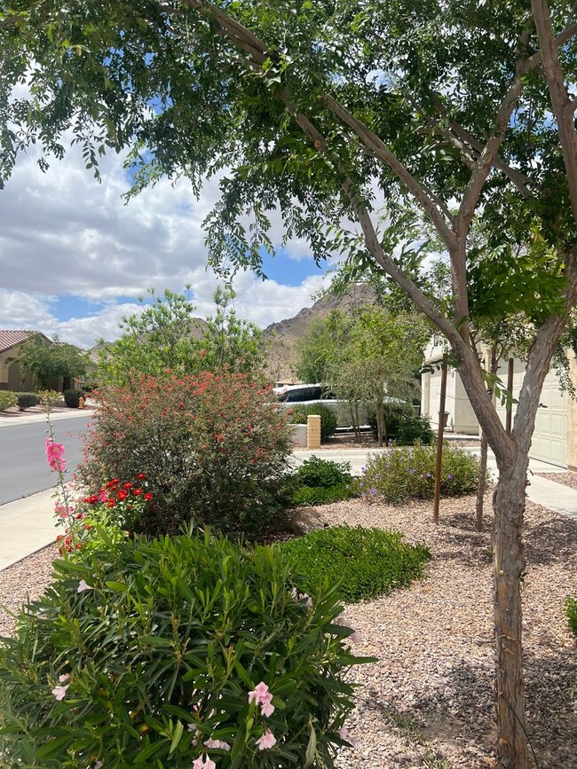 Foto del edificio - 4 Bed 2 Bath in San Tan Ridge Community