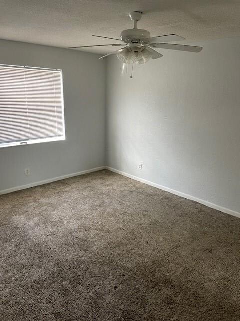 Building Photo - 355 Sunshine Dr