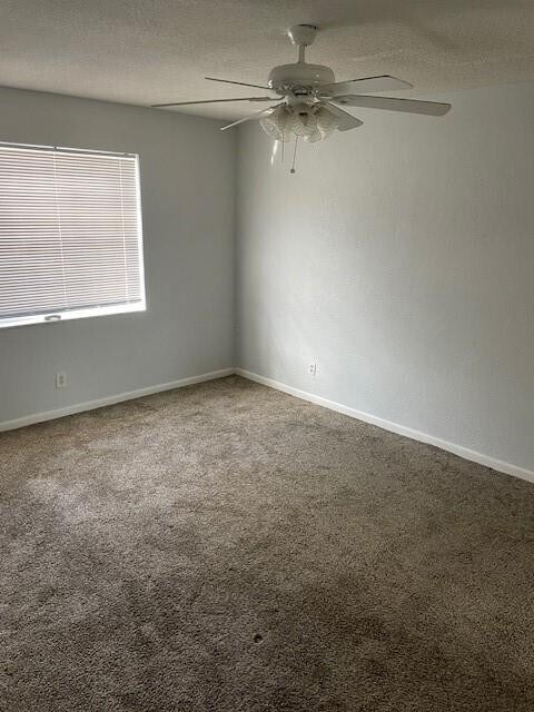 Foto del edificio - 355 Sunshine Dr