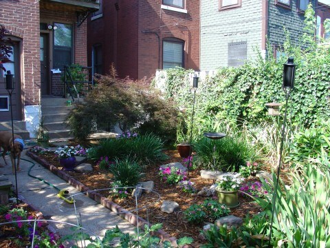 Backyard - 3849 Connecticut St