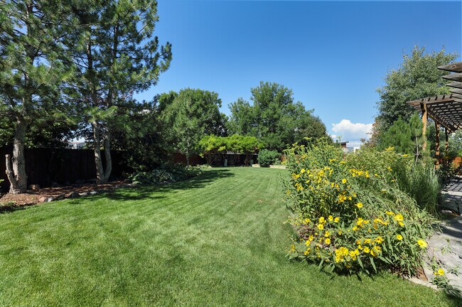 patio trasero desde el sur - 3669 Sunflower Cir