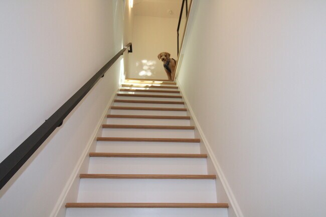 Building Photo - 933 N Ashland Ave