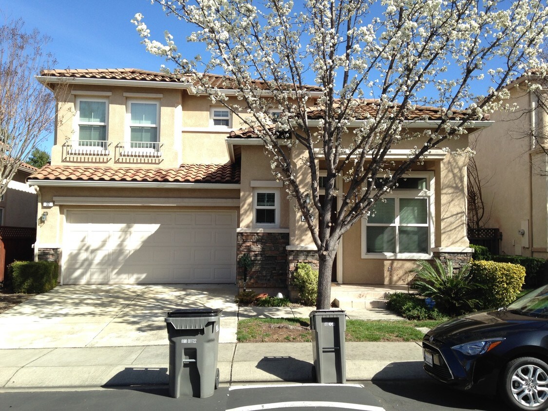 Primary Photo - 32 Terraced Hills Cir